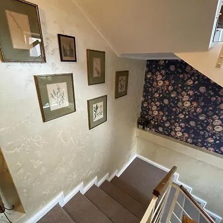 Boem In Inima Orasului Craiova