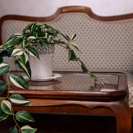 Apartment Boem In Inima Orasului Craiova