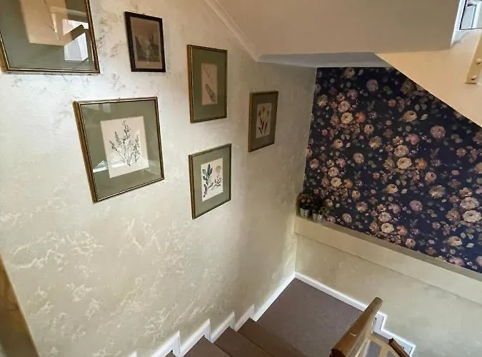 Boem In Inima Orasului Craiova