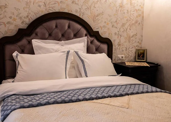 Apartamento Boem In Inima Orasului *