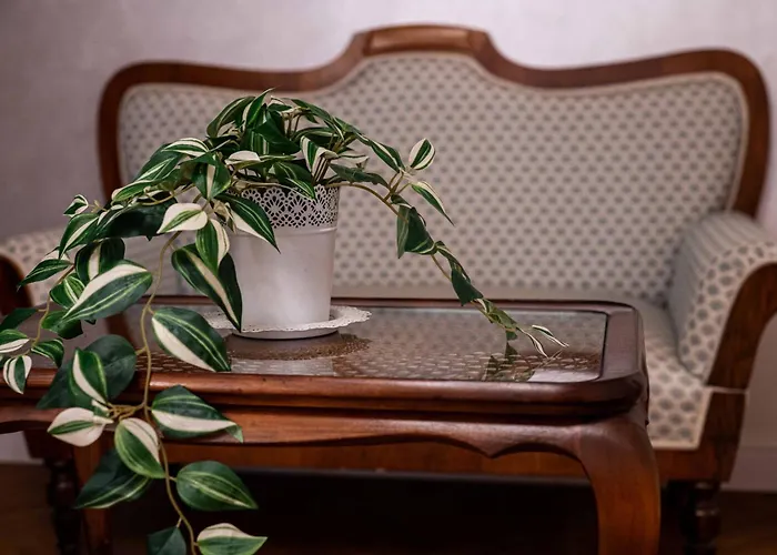 Apartamento Boem In Inima Orasului Craiova